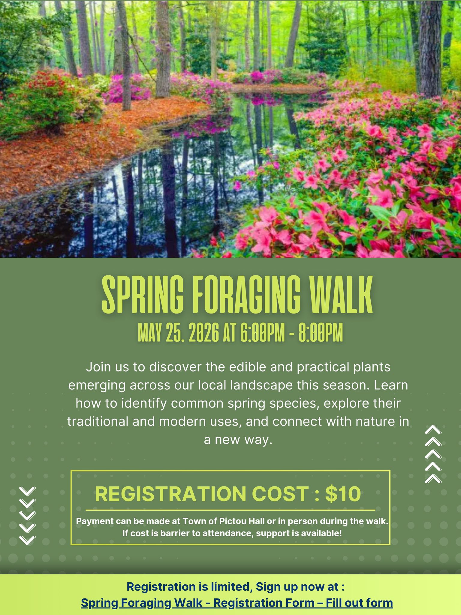 Spring_Foraging_Walk-May_25.jpg