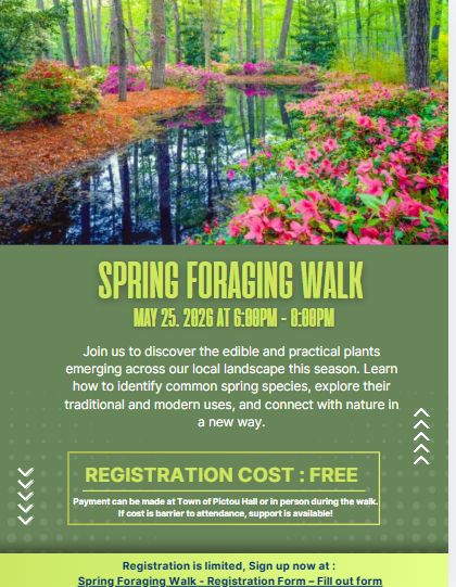 Spring_Foraging_Walk.jpeg