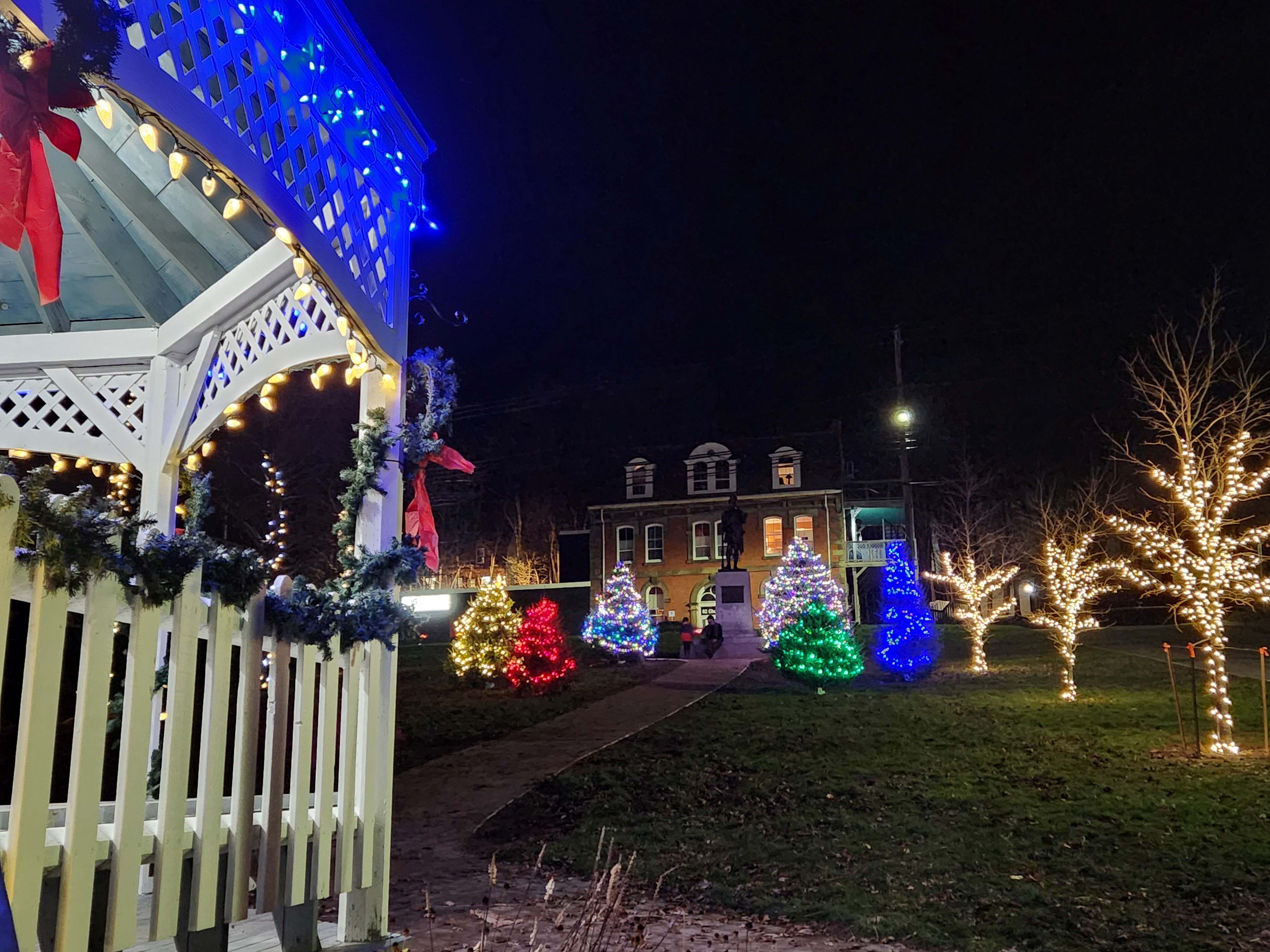 Christmas Trees at Market Square in Pictou lit up